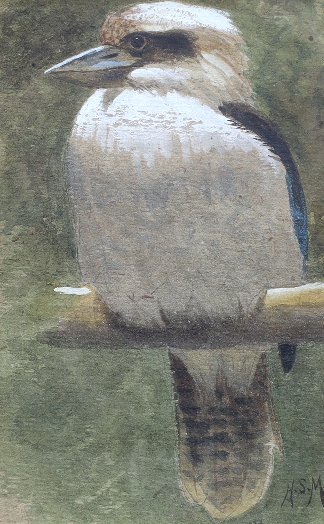 Henry Stacy Marks R.A., (British, 1829-1898), Kookaburra & Scarlet Crested Cockatoo, watercolour and gouache (2), 14 x 9cm & 17 x 9cm